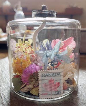 ドライフラワーと暮らしのお店 その灯ぐらし 猫洞店に投稿された画像（2024/6/28）