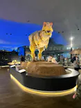福井県立恐竜博物館に投稿された画像（2024/6/28）