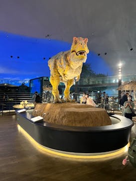 福井県立恐竜博物館に投稿された画像（2024/6/28）