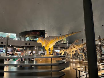 福井県立恐竜博物館に投稿された画像（2024/6/28）