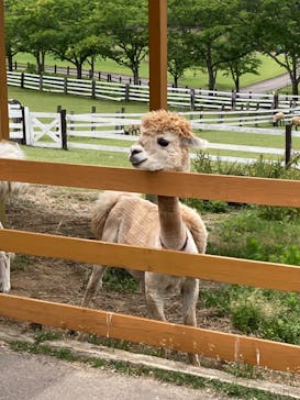 牧歌の里に投稿された画像（2024/6/28）