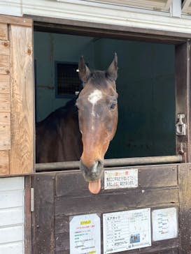 牧歌の里に投稿された画像（2024/6/28）