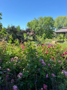 十勝ヒルズに投稿された画像（2024/6/28）