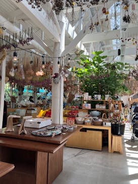 十勝ヒルズに投稿された画像（2024/6/28）