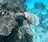 宮古島 ADVENTURE PiPi（ミヤコジマ アドベンチャー ピピ）に投稿された画像（2024/6/28）