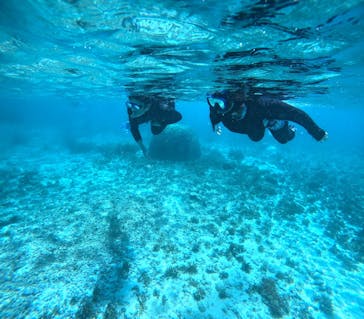 宮古島 ADVENTURE PiPi（ミヤコジマ アドベンチャー ピピ）に投稿された画像（2024/6/28）