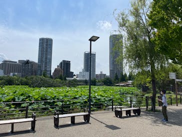 恩賜上野動物園に投稿された画像（2024/6/28）