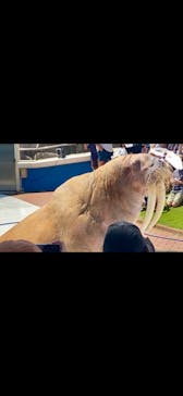 南知多ビーチランド＆南知多おもちゃ王国に投稿された画像（2024/6/28）