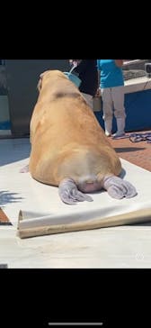 南知多ビーチランド＆南知多おもちゃ王国に投稿された画像（2024/6/28）