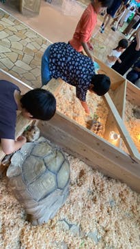 いきもの探検隊上尾に投稿された画像（2024/6/28）