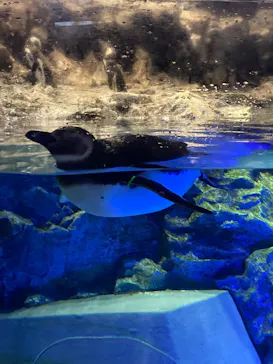 すみだ水族館に投稿された画像（2024/6/28）