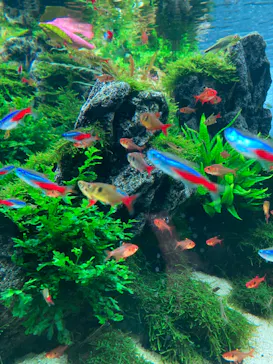 すみだ水族館に投稿された画像（2024/6/28）