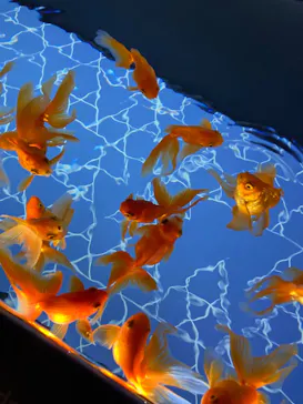 すみだ水族館に投稿された画像（2024/6/28）