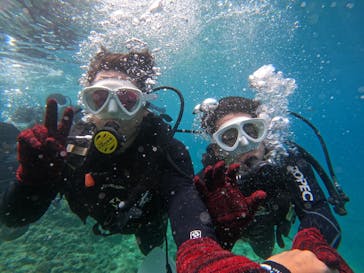 沖縄マリンサービス碧に投稿された画像（2024/6/28）