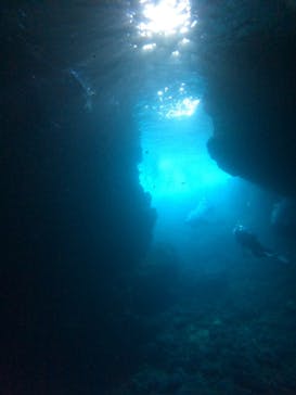 沖縄マリンサービス碧に投稿された画像（2024/6/28）