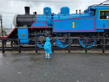 大井川鐵道株式会社に投稿された画像（2024/6/28）