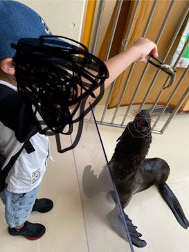 新江ノ島水族館に投稿された画像（2024/6/28）