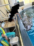 新江ノ島水族館に投稿された画像（2024/6/28）