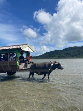 西表島 ADVENTURE PiPi（アドベンチャーピピ）に投稿された画像（2024/6/28）