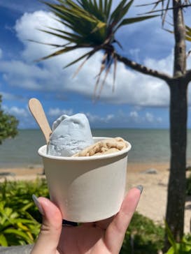 西表島 ADVENTURE PiPi（アドベンチャーピピ）に投稿された画像（2024/6/28）