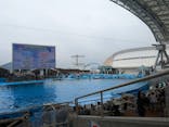 名古屋港水族館に投稿された画像（2024/6/28）