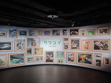 カワスイ 川崎⽔族館に投稿された画像（2024/6/28）