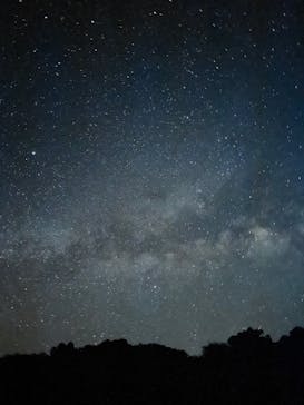 西表島 ADVENTURE PiPi（アドベンチャーピピ）に投稿された画像（2024/6/28）