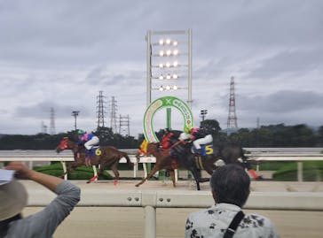 園田競馬場に投稿された画像（2024/6/28）