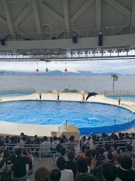マリンワールド海の中道に投稿された画像（2024/6/28）
