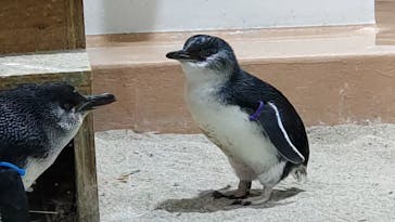 AOAO SAPPOROに投稿された画像（2024/6/28）