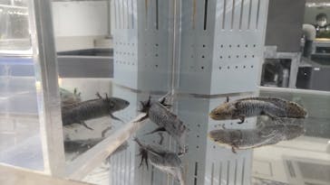 AOAO SAPPOROに投稿された画像（2024/6/28）