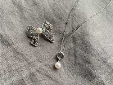 菊池パールに投稿された画像（2024/6/28）