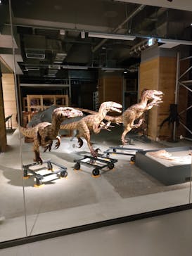 福井県立恐竜博物館に投稿された画像（2024/6/28）