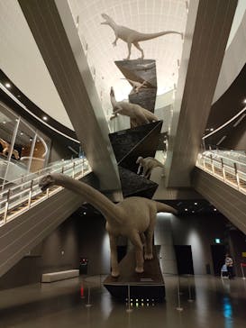 福井県立恐竜博物館に投稿された画像（2024/6/28）