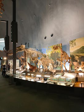 福井県立恐竜博物館に投稿された画像（2024/6/28）