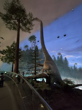 福井県立恐竜博物館に投稿された画像（2024/6/28）