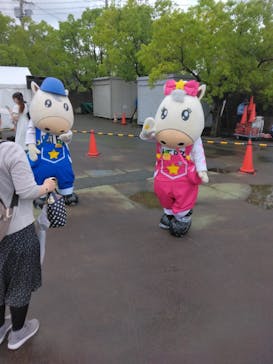 園田競馬場に投稿された画像（2024/6/28）