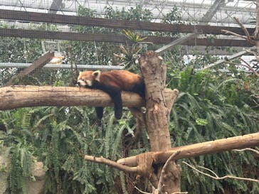 神戸どうぶつ王国に投稿された画像（2024/6/28）