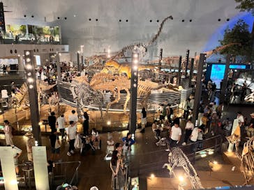 福井県立恐竜博物館に投稿された画像（2024/6/28）