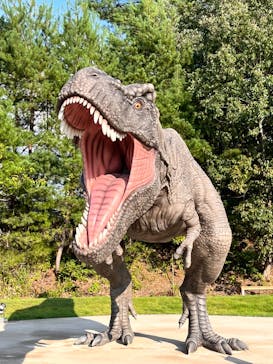 福井県立恐竜博物館に投稿された画像（2024/6/28）