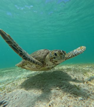 nico 宮古島に投稿された画像（2024/6/28）