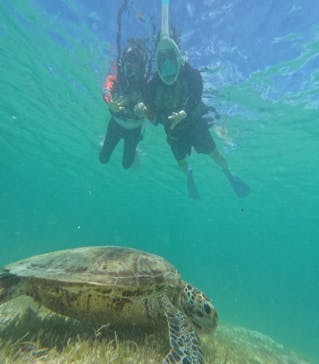 nico 宮古島に投稿された画像（2024/6/28）
