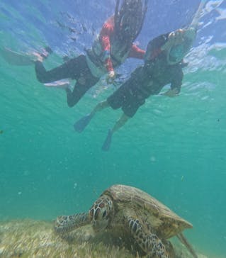 nico 宮古島に投稿された画像（2024/6/28）