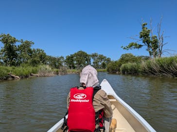 レイクサイドとうろに投稿された画像（2024/6/28）