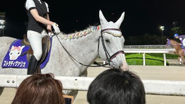 園田競馬場に投稿された画像（2024/6/28）