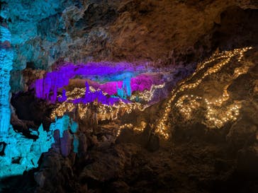 石垣島鍾乳洞に投稿された画像（2024/6/28）