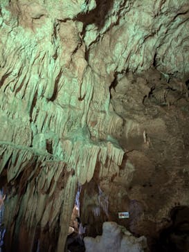 石垣島鍾乳洞に投稿された画像（2024/6/28）