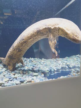 AOAO SAPPOROに投稿された画像（2024/6/28）