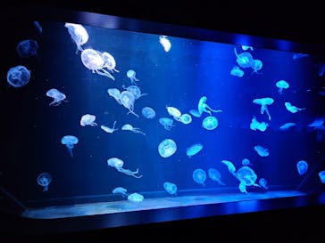 AOAO SAPPOROに投稿された画像（2024/6/28）