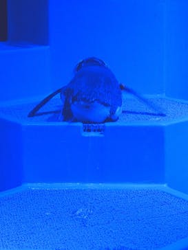 AOAO SAPPOROに投稿された画像（2024/6/28）